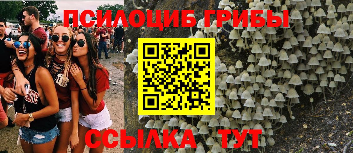 Галлюциногенные грибы Magic Shrooms  Псилоцибиновые грибы MAGIC MUSHROOMS  Вход с VPN  Кизилюрт 
